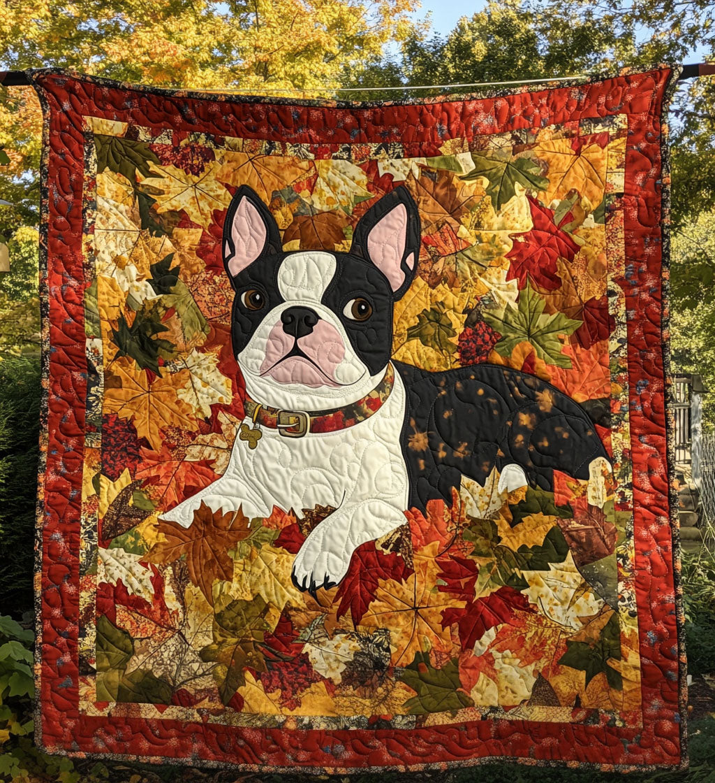 Boston Charm Quilted Blanket NCU0PT583