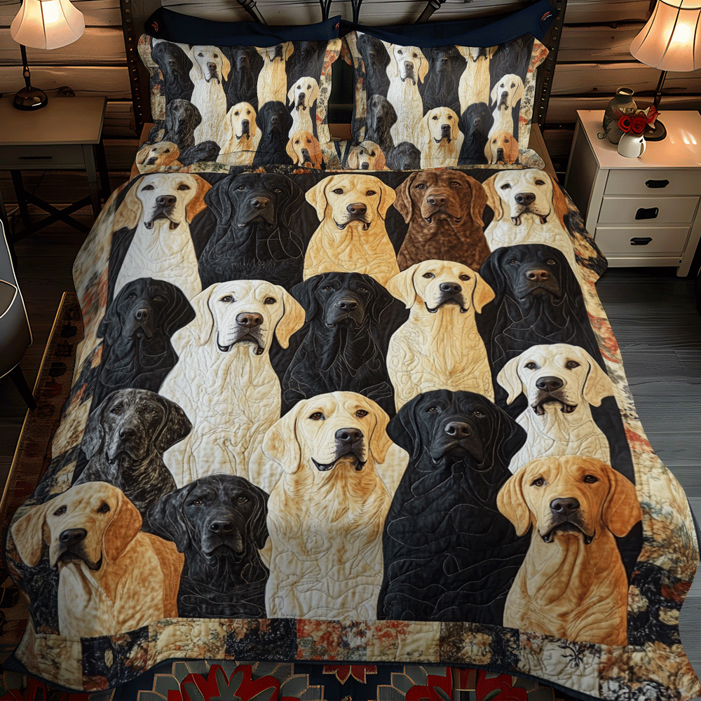 Playful Labrador 3-Piece Quilted Bedding Set NCU0PD544